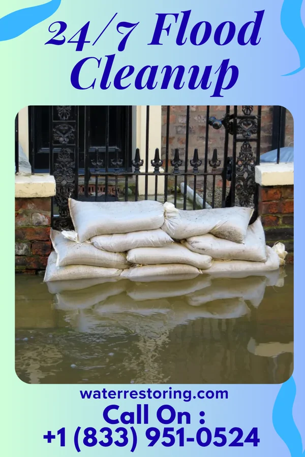24/7 Flood Cleanup in Askewville, NC