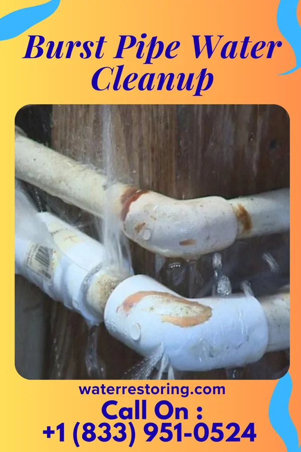 Burst Pipe Water Cleanup in Askewville, NC