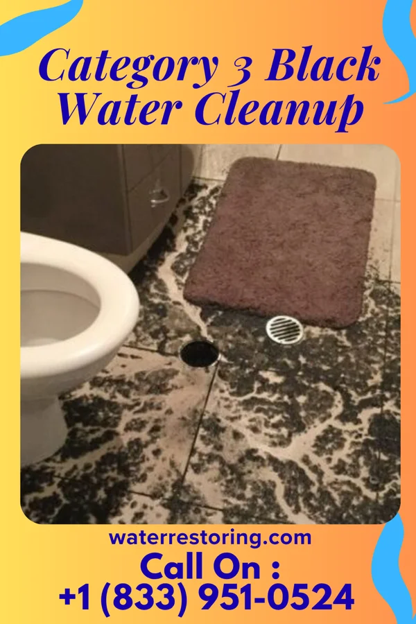 Category 3 Black Water Cleanup in Askewville, NC
