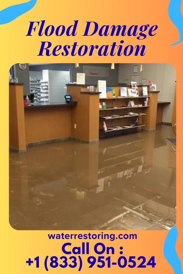 Flood Damage Restoration in Askewville, NC