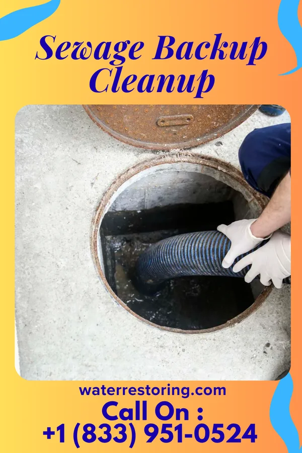 Sewage Backup Cleanup in Askewville, NC