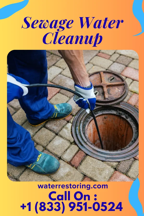 Sewage Water Cleanup in Askewville, NC