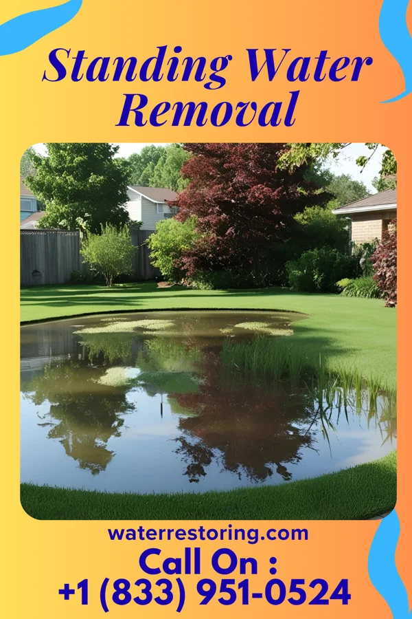 Standing Water Removal in Askewville, NC